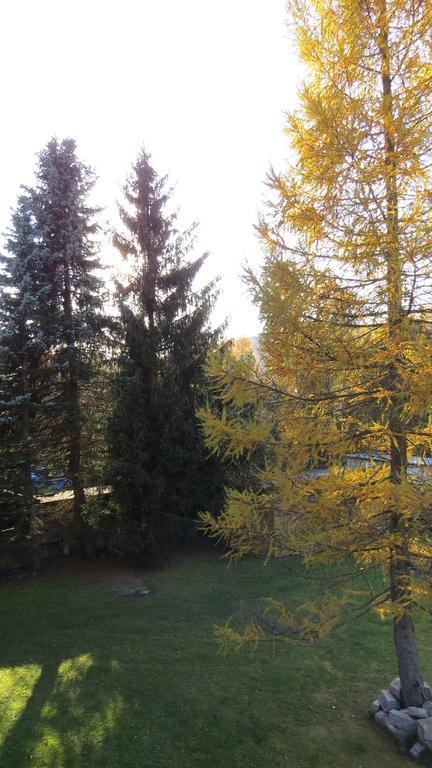 V+V Pension Harrachov Dış mekan fotoğraf